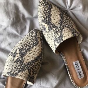 Steve Madden Trace Studded Mule - Snake Print 🤍🖤🤎